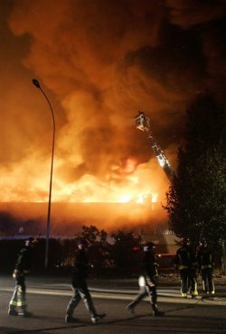 meutes en banlieue